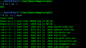 Nmap scripts for security testing